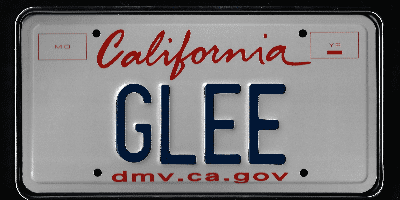 A close up of the license plate of glee