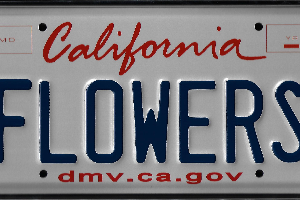 A california license plate with the word " lower ".