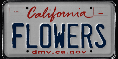 A california license plate with the word " lower ".