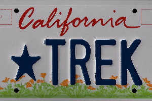 A california license plate with the word " tree ".